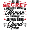 Secret Cadeau Annonce Grossesse Grand-Frère