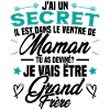 Secret Cadeau Annonce Grossesse Grand-Frère