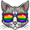Cool Lgbt Cat Bisexual Sexuality Rainbow