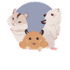 Hamster Trio