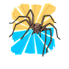 Spinne Spinnentiere Weihnachtsgeschenk Tierfreund