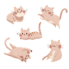 White Cat Crew