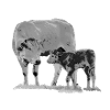 Kuh mit Kalb
