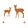 Reh Rehkitz Waldtiere Mädchen Geschenk