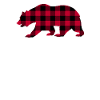 Big Brother Bear