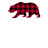Big Sister Bear