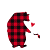Gigi Bear