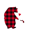 Maman Ours