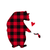 Nonni Bear