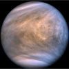 VENUS ✨