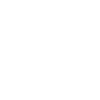 Real Estate Secret agent
