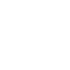 Realtor Genius Mind