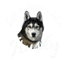 Husky