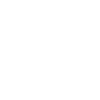 Swiss Strength