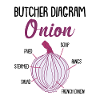Onion Anatomy Veggies