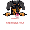 Ohne Dachshund ist alles doof