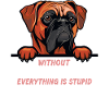 Ohne Boxer ist alles doof