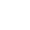 Pilot Airplane