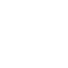 Pilot Airplane