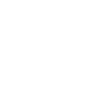 Pilot Airplane