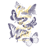 Butterflies Bible verse Christian