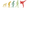 Karate High Kick Evolution
