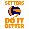 Setters Do It Better 2