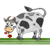 Bull