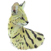 Serval tegning - katt stor katt i Afrika
