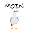 MOIN Möwe