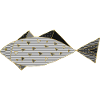 Poisson