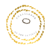Ambassador of The Saviour