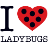 I LOVE LADYBUGS