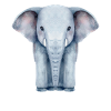 Watercolour Elephant