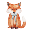 Cute fox
