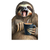 Sloth coffee saying