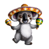 Cinco De Mayo Koala