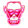 Monkey gambling