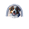 Australian Shepherd