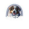 Australian Shepherd