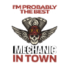 Motorcycle Mechanic Skull