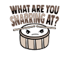 Drummsticks Snare Drum
