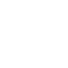 Mongolia map flag