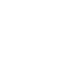 Pakistan map flag