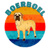 Boerboel Dog, Mastiff sud-africain