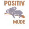 Positiv Auf Müde Getestet Koala