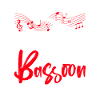 Bassoonist Bassoonist