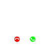 Dogo Argentino