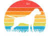Dogo Argentino