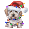 Christmas Dog